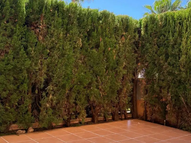 Jardín de Piso en venta en Llucmajor con Aire acondicionado, Terraza y Piscina