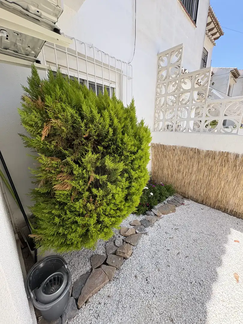 Jardí de Pis en venda en Torrevieja amb Aire condicionat, Terrassa i Piscina