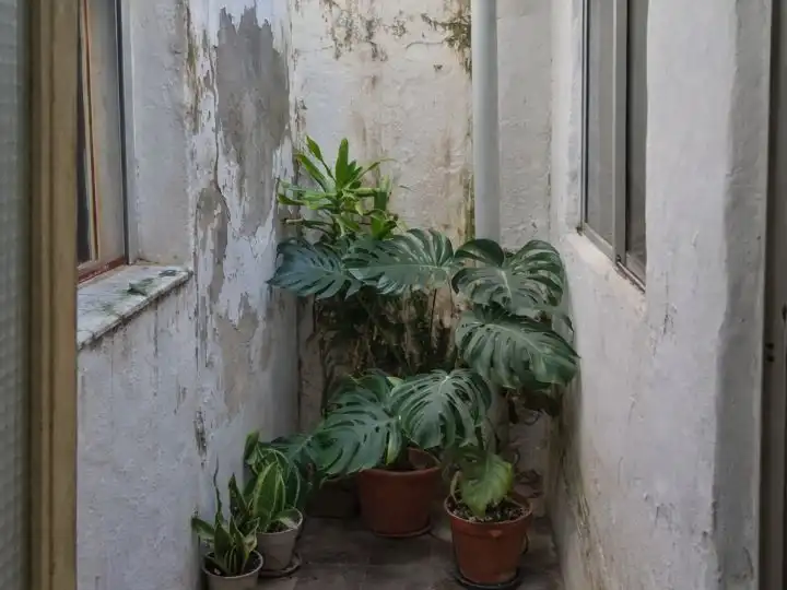 Planta baja en venta en Calle Cardenal Rodrigo de Castro, 17, Ciudad Jardín Terraza de Planta baja en venta en Sevilla con Aire acondicionado, Calefacción y Terraza