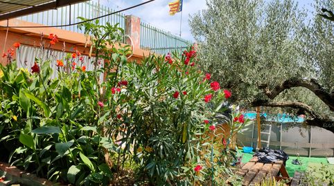 Foto 4 von Haus oder Chalet zum Verkauf in Partida Maquials, 391, La Vall d'Uixó, Castellón