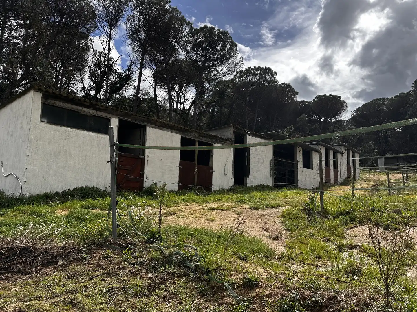 Finca rústica en venda a Carrer Sant Pau, 956, Montbarbat Vista exterior de Finca rústica en venda en Maçanet de la Selva amb Terrassa