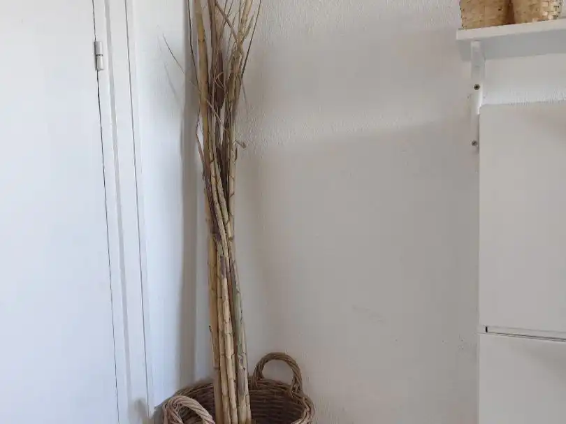Wohnung zur Miete in  Sevilla Capital mit Klimaanlage und Schwimmbad