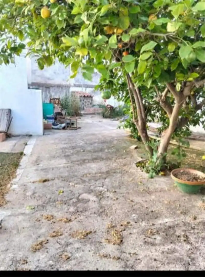 Casa o xalet en venda en El Viso amb Jardí privat, Traster i Moblat