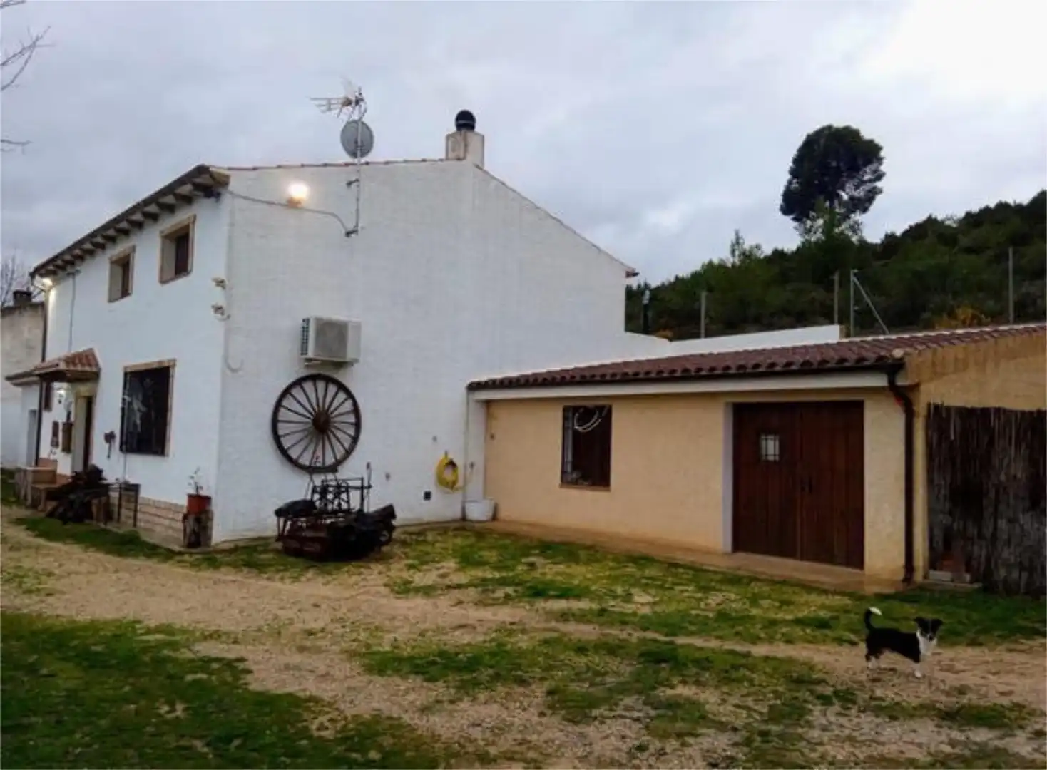 Vista exterior de Casa o xalet en venda en Elche de la Sierra amb Jardí privat, Traster i Piscina