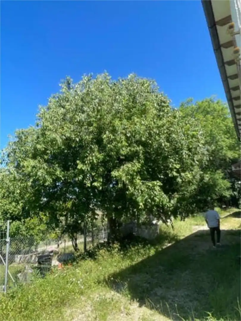 Vista exterior de Casa o xalet en venda en Elche de la Sierra amb Jardí privat, Traster i Piscina