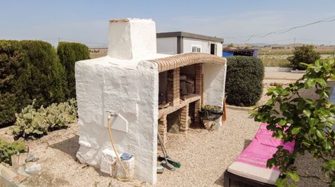 Foto 5 de Finca rústica en venta en Calle Párroco Don José Joaquín, 1, Las Virtudes, Villena