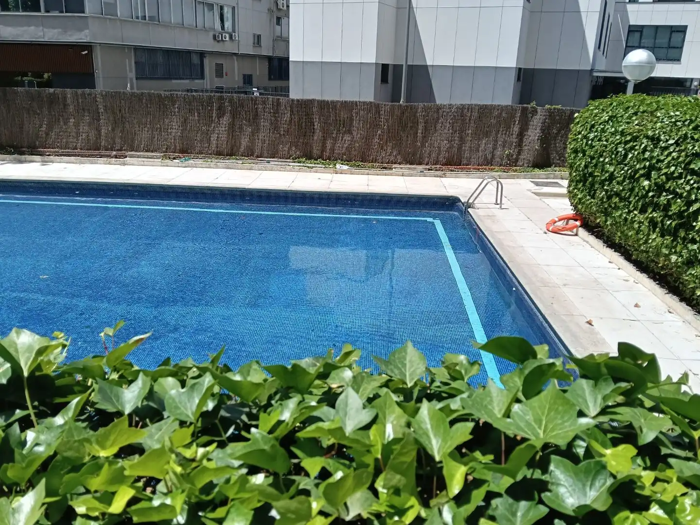 Swimming pool of Flat for sale in  Madrid Capital  with Terrace and Swimming Pool