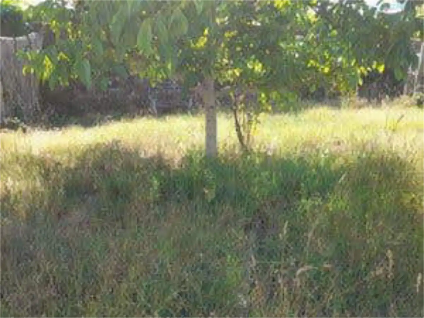 Casa o xalet en venda a O Porriño Casa o xalet en venda en O Porriño