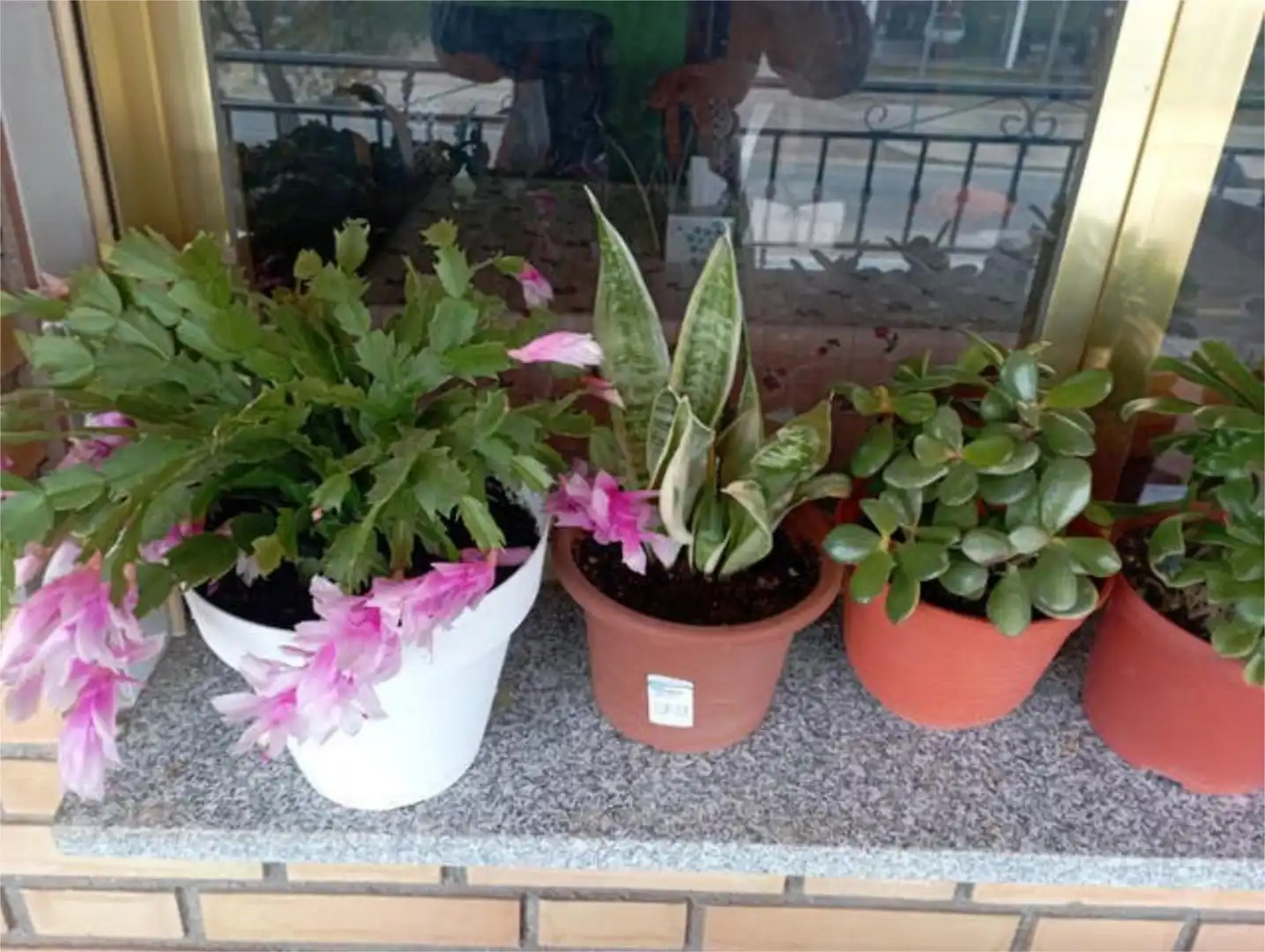 Pis en venda a Casasbuenas Jardí de Pis en venda en Casasbuenas amb Terrassa