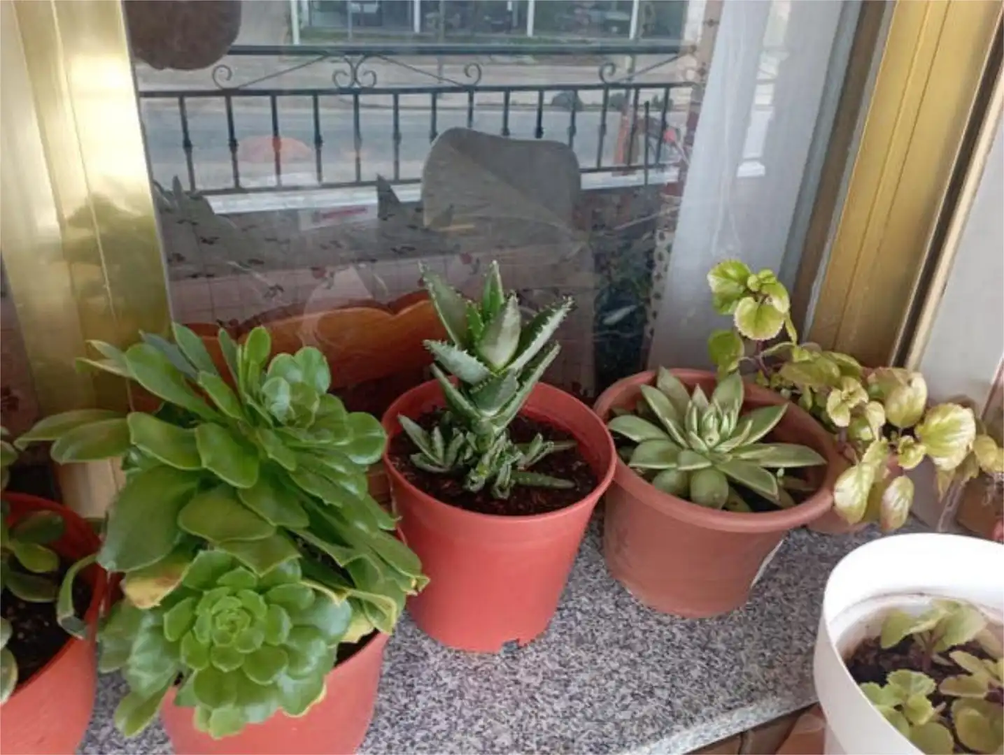Pis en venda a Casasbuenas Terrassa de Pis en venda en Casasbuenas amb Terrassa