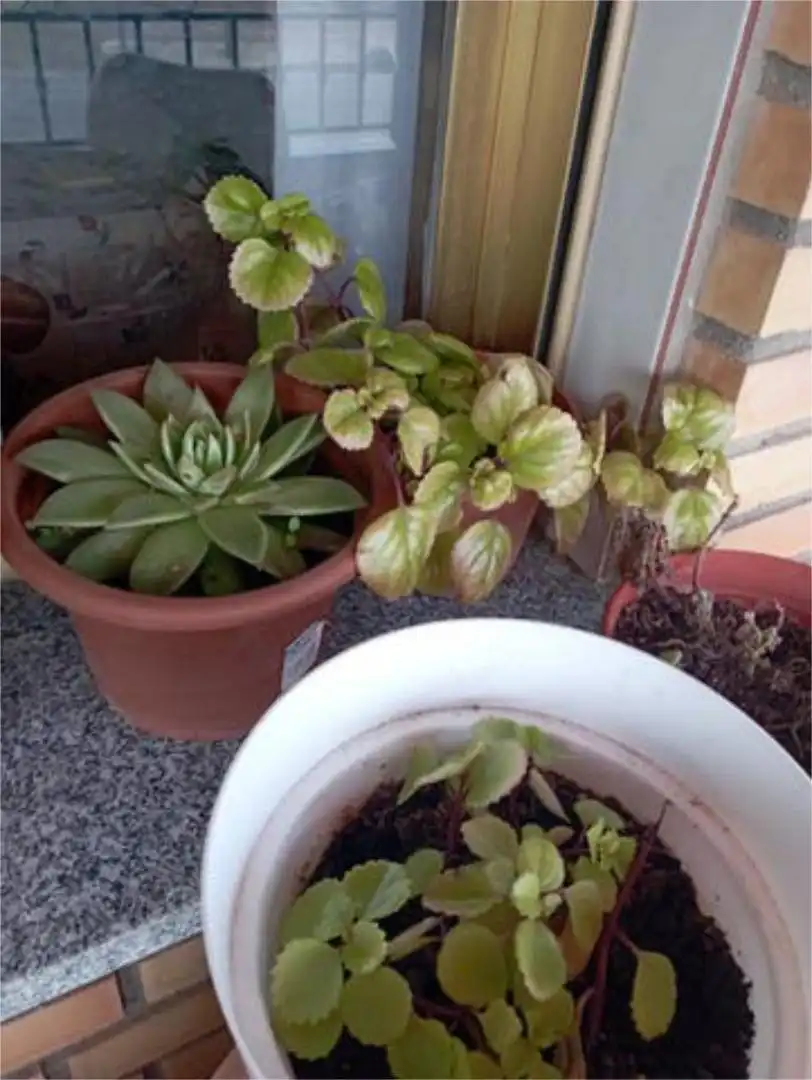Pis en venda a Casasbuenas Jardí de Pis en venda en Casasbuenas amb Terrassa