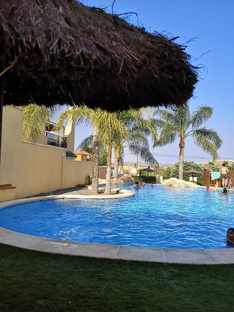 Schwimmbecken von Wohnung zur Miete in Mutxamel mit Heizung, Terrasse und Schwimmbad