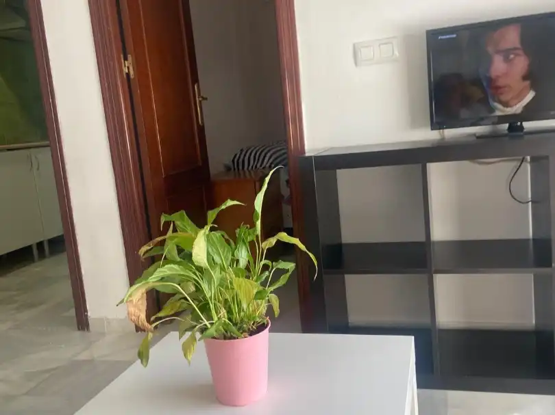 Flat for rent in Calle Rosario, 32, Arenal - La Pólvora Balcony of Flat for rent in Dos Hermanas with Furnished