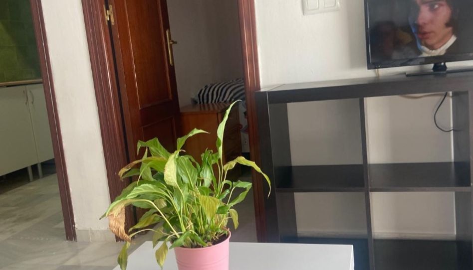 Flat for rent in Calle Rosario, 32, Arenal - La Pólvora, Dos Hermanas - image 1 Photo 1 of Flat for rent in Calle Rosario, 32, Arenal - La Pólvora, Dos Hermanas