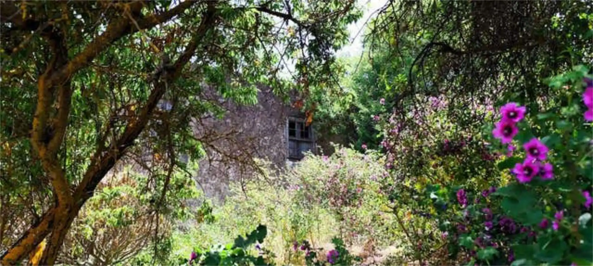 Casa o xalet en venda a El Pinar de El Hierro Casa o xalet en venda en El Pinar de El Hierro amb Terrassa