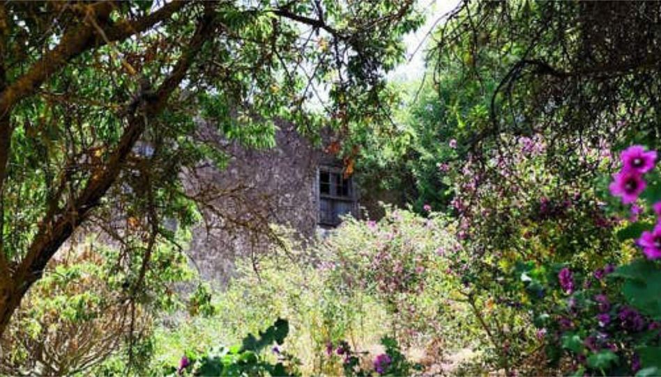 Casa o xalet en venda a El Pinar de El Hierro, Santa Cruz de Tenerife - imatge 1 Foto 1 de Casa o xalet en venda a El Pinar de El Hierro, Santa Cruz de Tenerife
