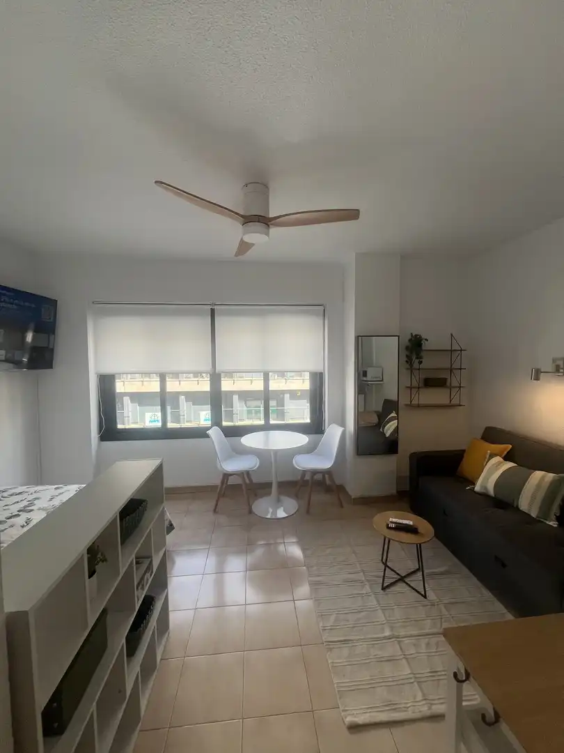 Sala de estar de Estudio de alquiler en Sevilla con Aire acondicionado, Calefacción y Amueblado