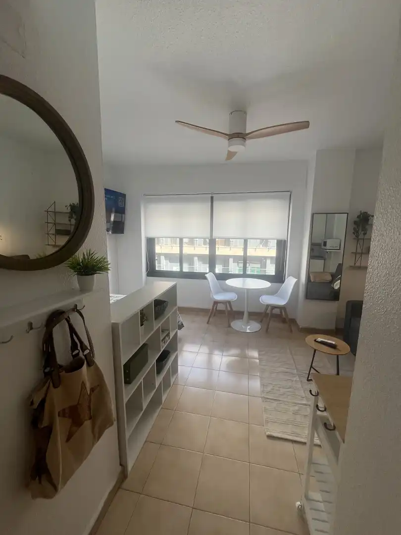 Sala de estar de Estudio de alquiler en Sevilla con Aire acondicionado, Calefacción y Amueblado