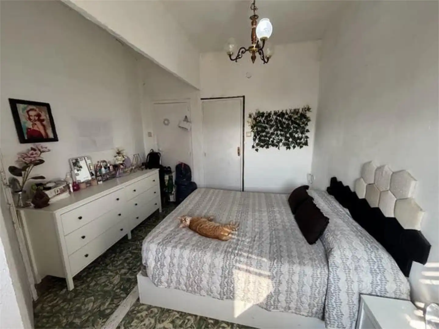Piso de alquiler en Algemesí Habitación de Piso de alquiler en Algemesí
