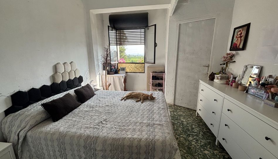 Piso de alquiler en Carrer Sant Domènec, 27, Algemesí, Valencia - imagen 1 Foto 1 de Piso de alquiler en Carrer Sant Domènec, 27, Algemesí, Valencia