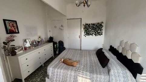 Piso de alquiler en Carrer Sant Domènec, 27, Algemesí, Valencia - imagen 2 Foto 2 de Piso de alquiler en Carrer Sant Domènec, 27, Algemesí, Valencia