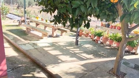 Casa o xalet en venda a Diseminado Vega Martel, 56, Medellín, Badajoz - imatge 2 Foto 2 de Casa o xalet en venda a Diseminado Vega Martel, 56, Medellín, Badajoz