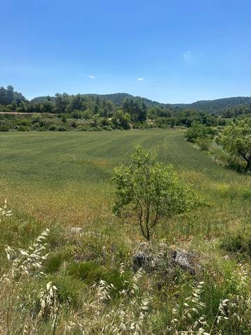 Terreno en Venta en Carrer Major, 20 en Senan