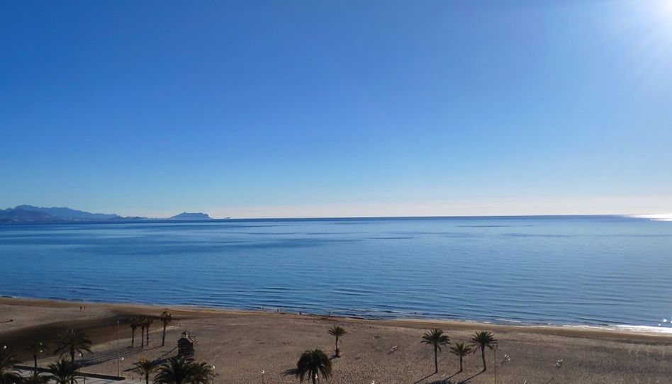 Apartamento de alquiler en Avenida de Niza, 30, Playa de San Juan, Alicante / Alacant - imagen 1 Foto 1 de Apartamento de alquiler en Avenida de Niza, 30, Playa de San Juan, Alicante / Alacant