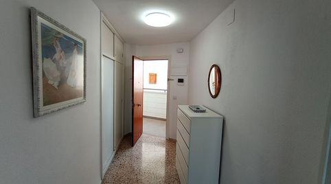 Apartamento de alquiler en Avenida de Niza, 30, Playa de San Juan, Alicante / Alacant - imagen 5 Foto 5 de Apartamento de alquiler en Avenida de Niza, 30, Playa de San Juan, Alicante / Alacant