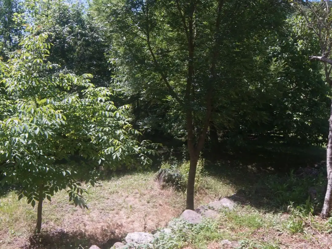 Pis en venda a Passeig General Estartús, 8, La Vall d'en Bas Pis en venda en La Vall d'en Bas amb Terrassa i Balcó
