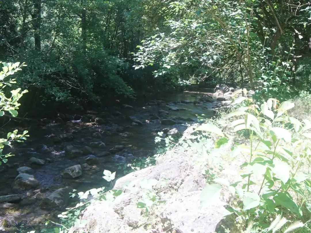 Pis en venda a Passeig General Estartús, 8, La Vall d'en Bas Vista exterior de Pis en venda en La Vall d'en Bas amb Terrassa i Balcó