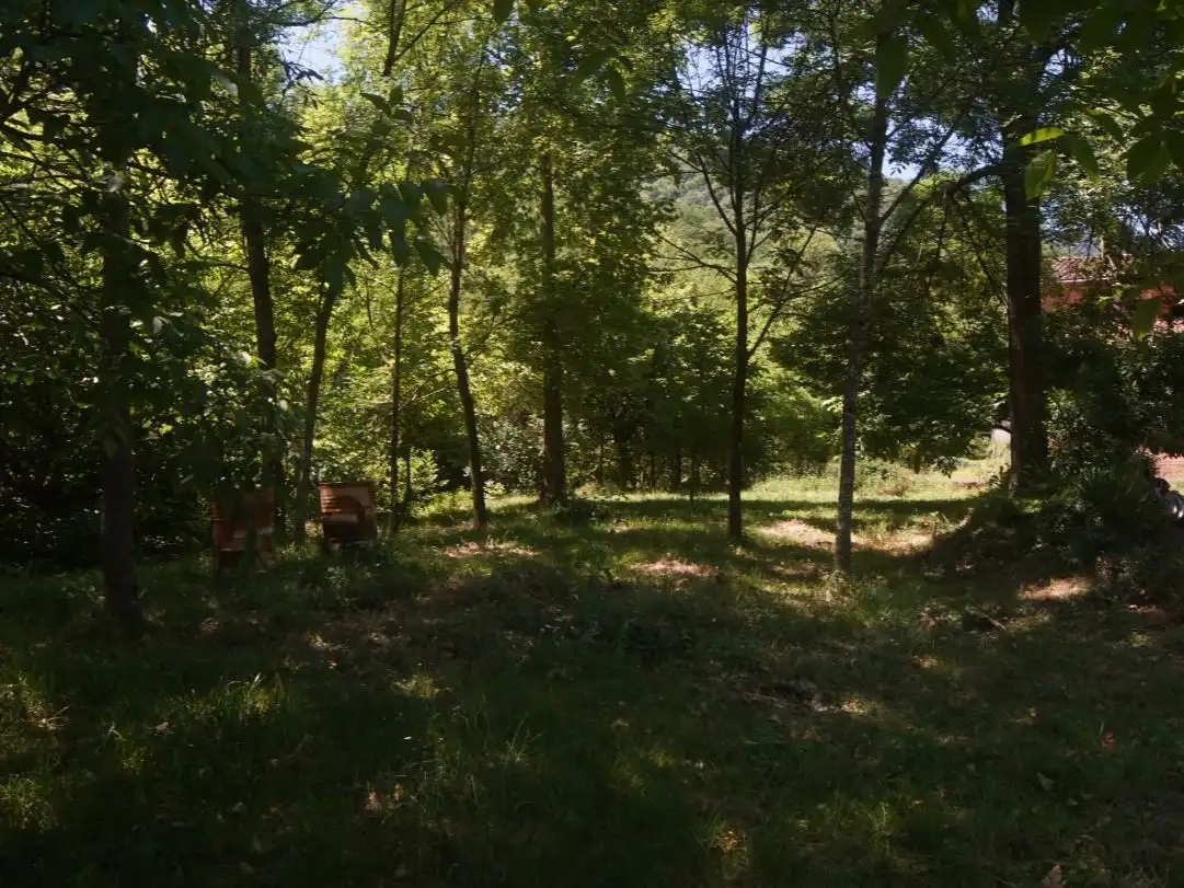 Pis en venda a Passeig General Estartús, 8, La Vall d'en Bas Pis en venda en La Vall d'en Bas amb Terrassa i Balcó
