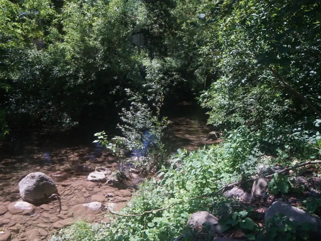 Pis en venda a Passeig General Estartús, 8, La Vall d'en Bas Vista exterior de Pis en venda en La Vall d'en Bas amb Terrassa i Balcó