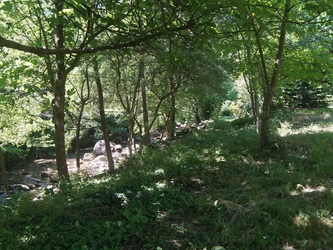 Pis en venda a Passeig General Estartús, 8, La Vall d'en Bas Pis en venda en La Vall d'en Bas amb Terrassa i Balcó