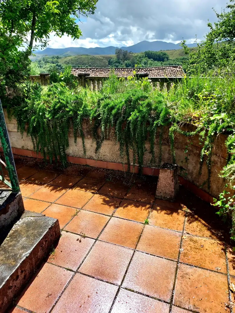 Jardí de Finca rústica en venda en Grado amb Jardí privat, Terrassa i Traster