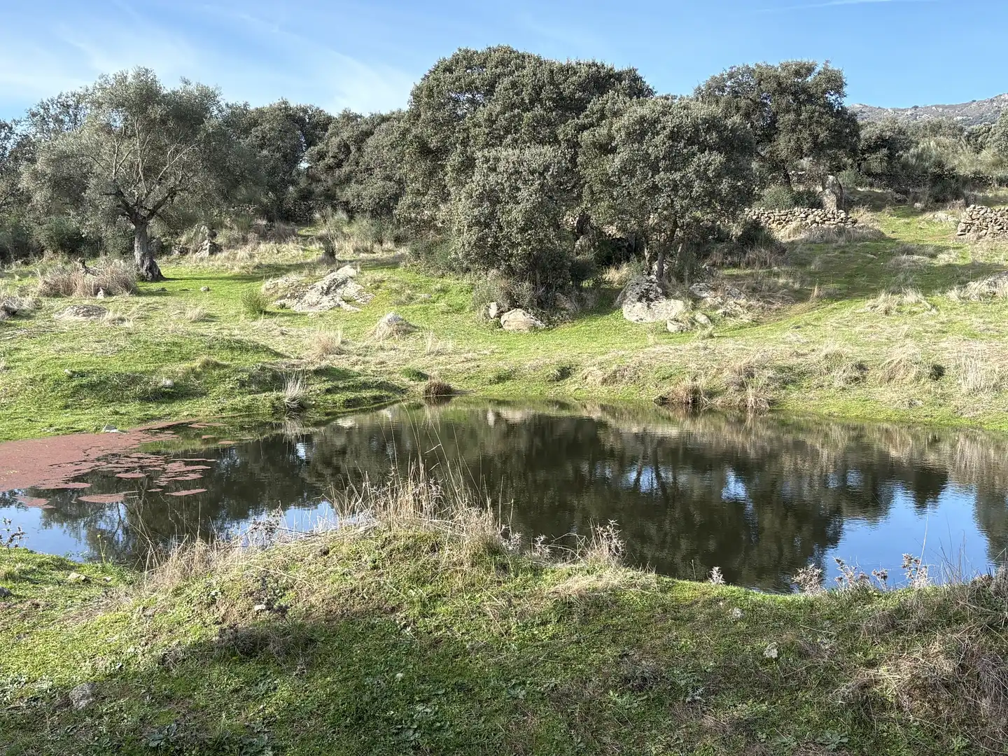 Land for sale in Carretera Ibahernando, 8, Robledillo de Trujillo Land for sale in Robledillo de Trujillo