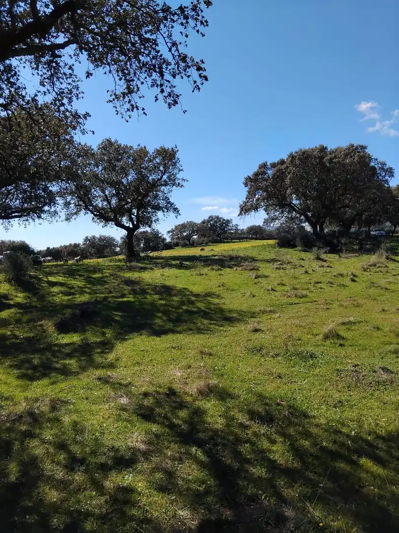 Land for sale in Carretera Ibahernando, 8, Robledillo de Trujillo Land for sale in Robledillo de Trujillo