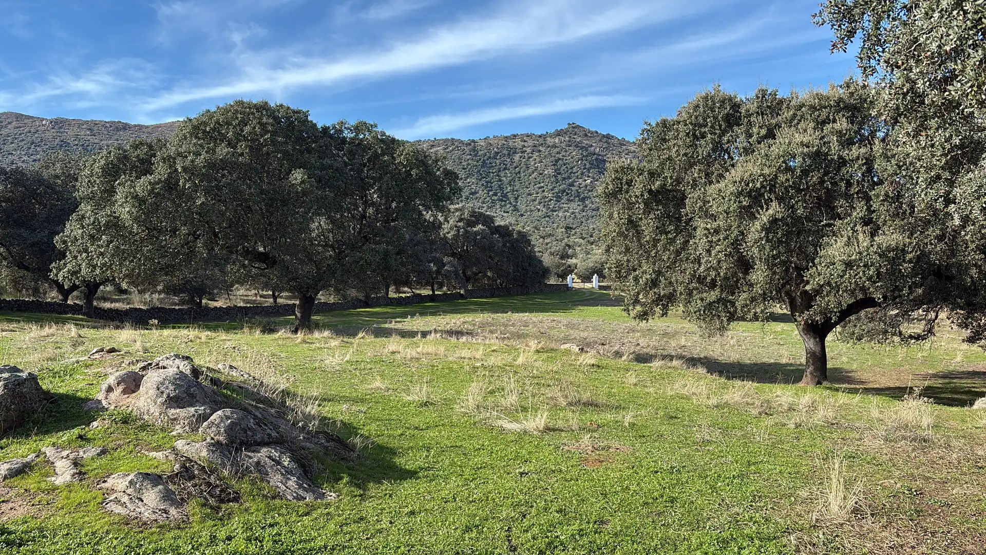 Land for sale in Carretera Ibahernando, 8, Robledillo de Trujillo Land for sale in Robledillo de Trujillo