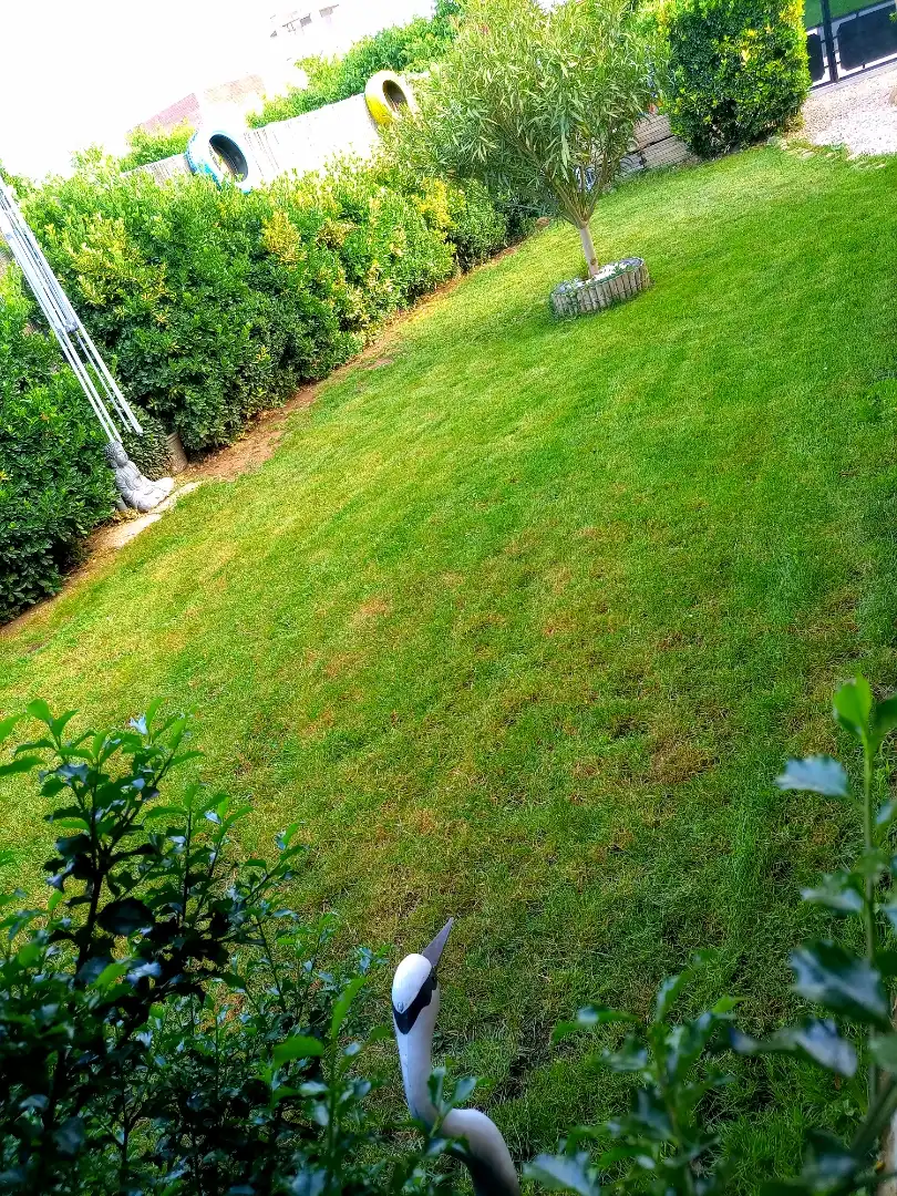 Einfamilien-Reihenhaus zum Verkauf in Calle Corralada, 38, Campo de Villavidel Garten von Einfamilien-Reihenhaus zum Verkauf in Campo de Villavidel mit Privatgarten, Terrasse und Abstellraum
