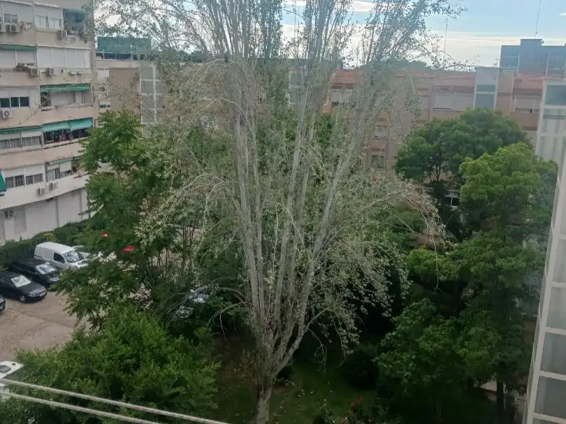 Jardí de Pis en venda en Madrid amb Calefacció, Terrassa i Traster