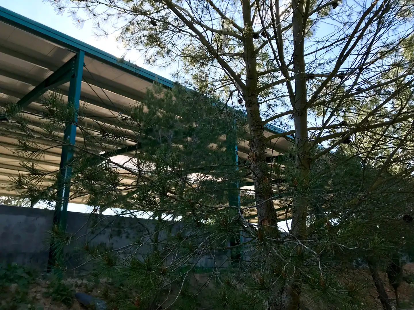 Finca rústica en venta en Calle España, 7, Corcos Vista exterior de Finca rústica en venta en Corcos con Aire acondicionado, Calefacción y Jardín privado