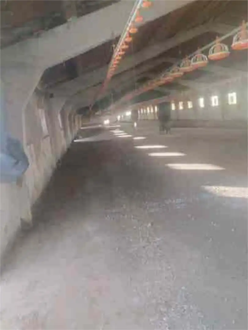 Industrial buildings for rent in León Capital 