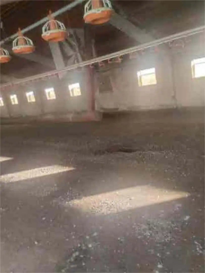 Industrial buildings for rent in León Capital 