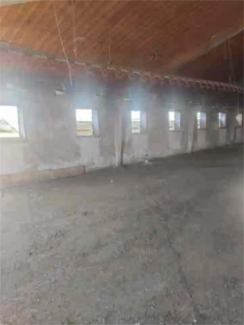 Industrial buildings for rent in León Capital 