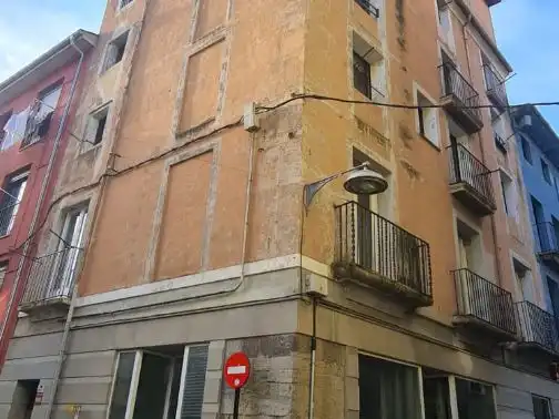 Vista exterior de Finca rústica en venta en Olot