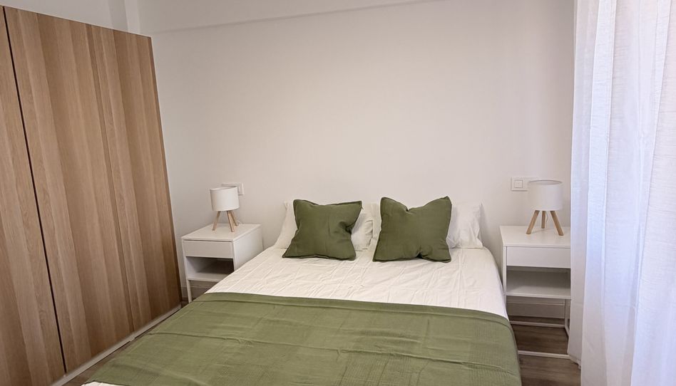Habitación en Calle Jaime Segarra, 38, Carolinas Bajas, Alicante / Alacant - imagen 1 Foto 1 de Habitación en Calle Jaime Segarra, 38, Carolinas Bajas, Alicante / Alacant