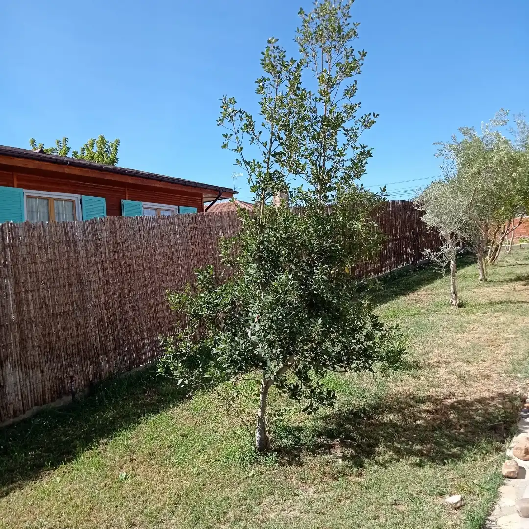 Piso en venta en Calle Castillo Manzanares el Real, 72, Escalona Piso en venta en Escalona con Jardín privado y Trastero