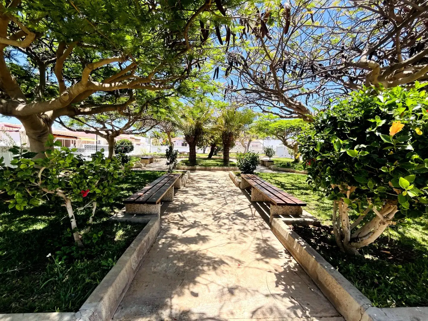 Vista exterior de Casa o chalet en venta en Arona con Aire acondicionado y Terraza
