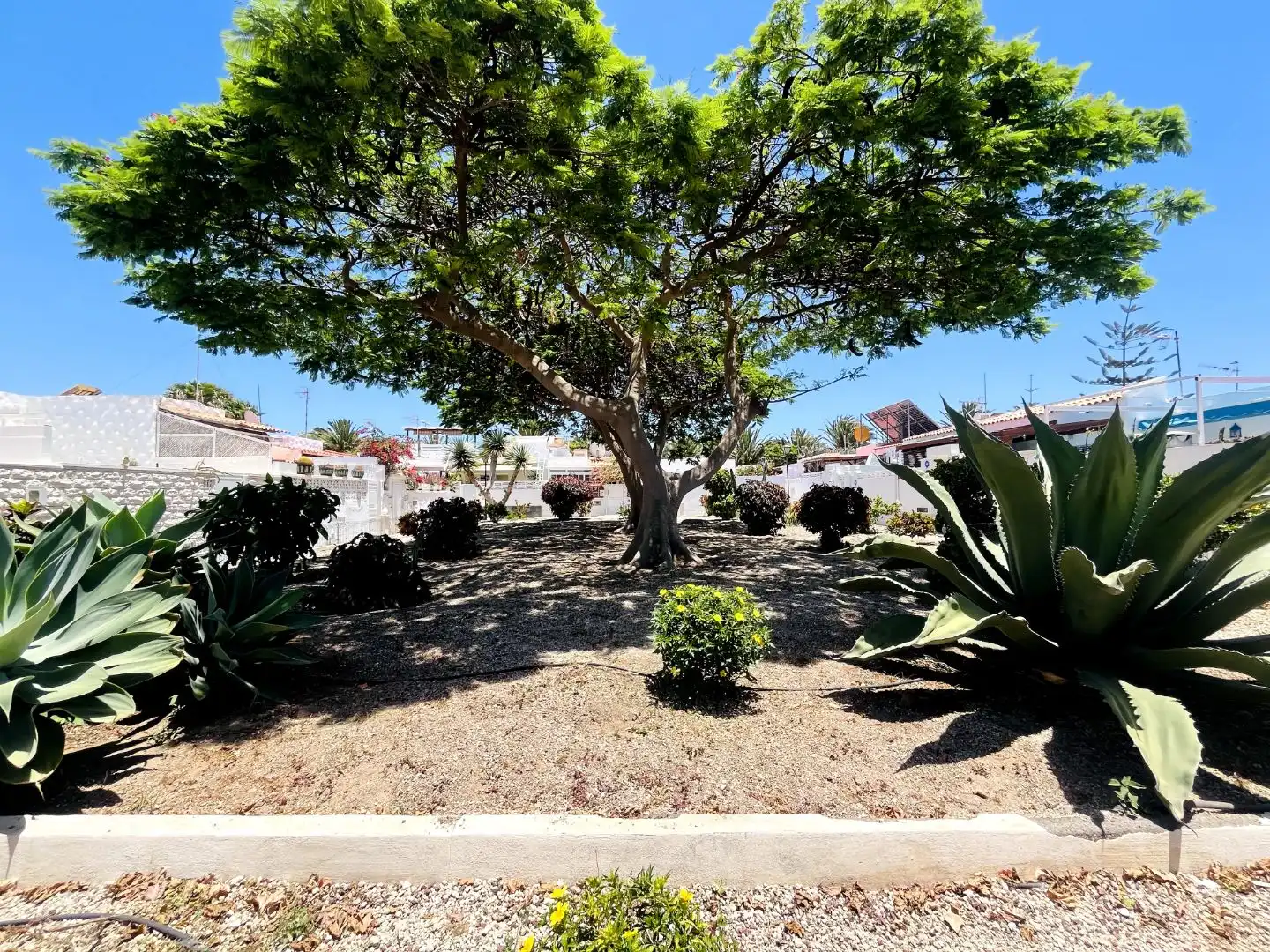 Vista exterior de Casa o chalet en venta en Arona con Aire acondicionado y Terraza
