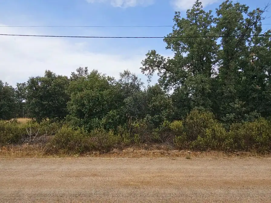 Casa o chalet en venta en Camino del Arroyo, 322, Fresno de Cantespino Casa o chalet en venta en Fresno de Cantespino con Calefacción y Jardín privado